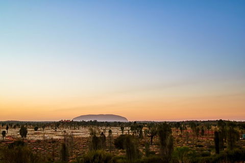 Uluru Field Of Light Sunrise Tour - Melbourne Tourism 12