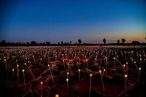 Uluru Field Of Light Sunrise Tour - Melbourne Tourism 7