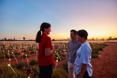 Uluru Field Of Light Sunrise Tour - Melbourne Tourism 9