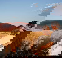Uluru Ayers Rock Sunset with Outback Barbecue Dinner and Star Tour - Melbourne Tourism