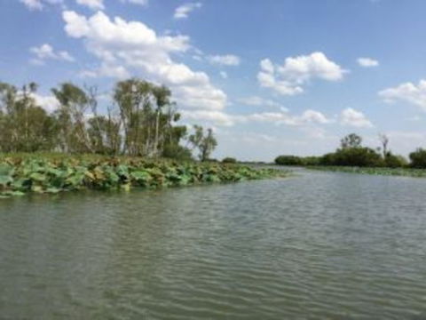 1 Day Corroboree Billabong Wetland Experience Including 2.5 Hour Cruise + Lunch - Melbourne Tourism 4