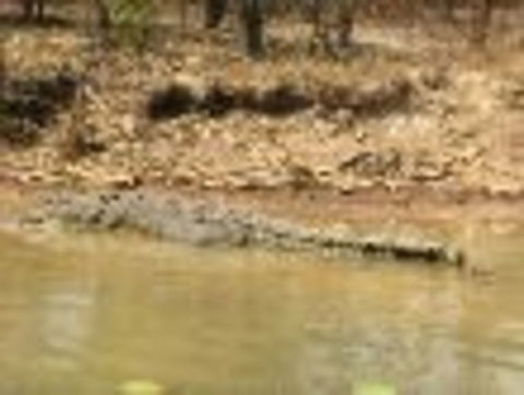 1 Day Corroboree Billabong Wetland Experience Including 2.5 Hour Cruise + Lunch - Melbourne Tourism 6