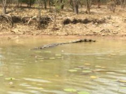 1 Day Corroboree Billabong Wetland Experience Including 2.5 Hour Cruise + Lunch - Melbourne Tourism 5