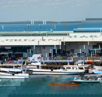 Darwin Harbour Bombing of Darwin Cruise