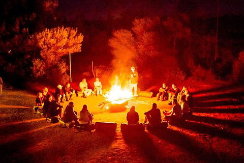 4-Day Red Centre Camping Safari From Alice Springs Or Ayers Rock Including Kings Canyon - Melbourne Tourism 0