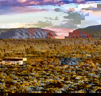 Alice Springs to Uluru Ayers Rock One Way Shuttle - Melbourne Tourism