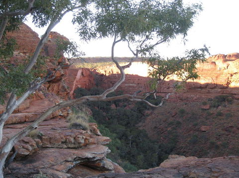 3-Day Uluru And Kings Canyon Camping Experience From Alice Springs Including Outback BBQ Dinner - Melbourne Tourism 1