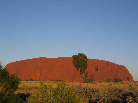 3-Day Uluru And Kings Canyon Camping Experience From Alice Springs Including Outback BBQ Dinner - Melbourne Tourism 4