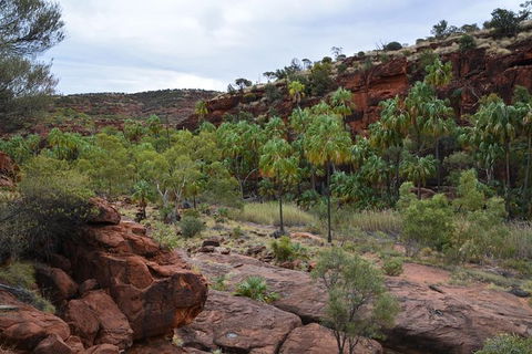 Palm Valley And Hermannsburg 1 Day 4WD Tour - Melbourne Tourism 0