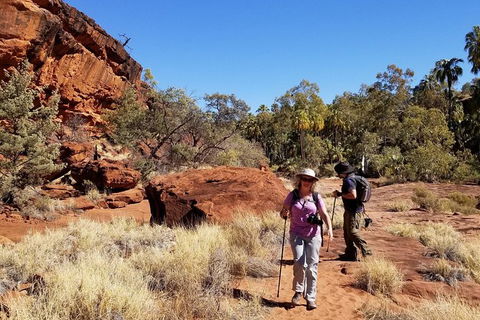 Palm Valley And Hermannsburg 1 Day 4WD Tour - Melbourne Tourism 5