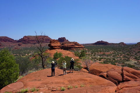 Palm Valley And Hermannsburg 1 Day 4WD Tour - Melbourne Tourism 2