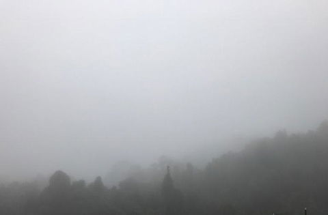 All Inclusive Blue Mountains Small-Group Day Trip From Sydney - Melbourne Tourism 20