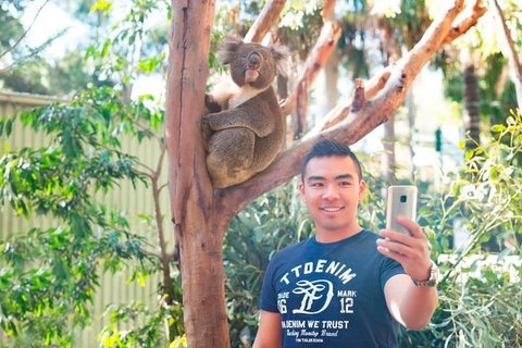 All Inclusive Full-Day Blue Mountains Trip From Sydney - Melbourne Tourism 1