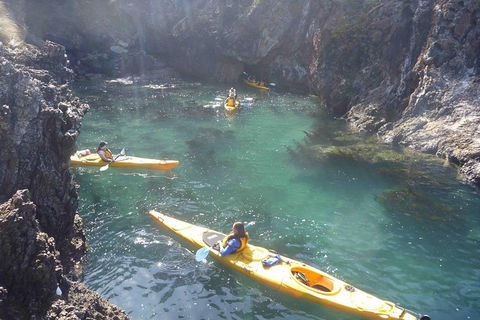 Batemans Bay Full Day Sea Kayak Tour With Beach Picnic Lunch - Melbourne Tourism 5