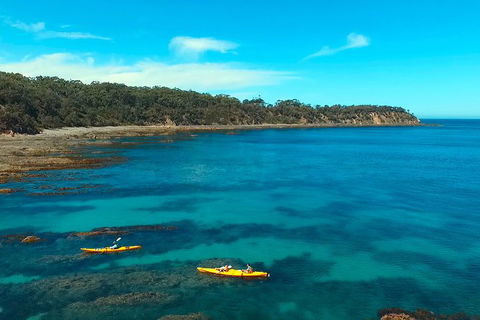 Batemans Bay Full Day Sea Kayak Tour With Beach Picnic Lunch - Melbourne Tourism 7
