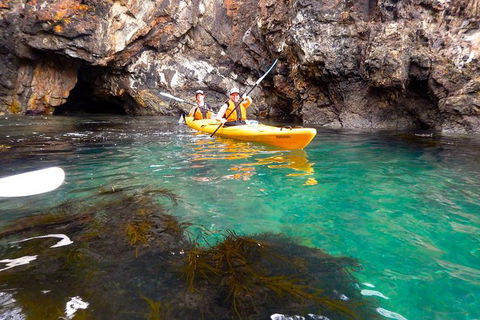 Batemans Bay Full Day Sea Kayak Tour With Beach Picnic Lunch - Melbourne Tourism 2