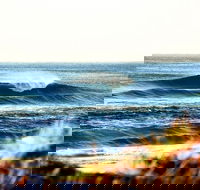 7-Day Byron Bay Evans Head and Moonee Beach Surf Safari from Brisbane Gold Coast or Byron Bay - Melbourne Tourism