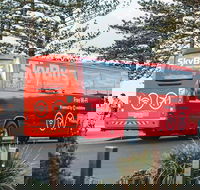 SkyBus Byron Bay Express - Melbourne Tourism