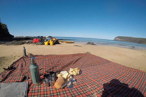 Whale Watching By Sea Kayak In Batemans Bay - Melbourne Tourism 6