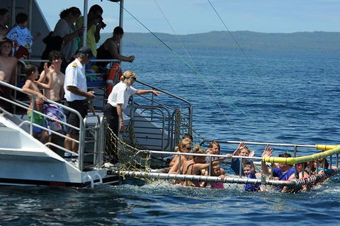 Jervis Bay Boom Netting And Dolphins Tour - Melbourne Tourism 1