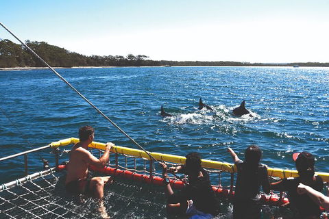 Jervis Bay Boom Netting And Dolphins Tour - Melbourne Tourism 2