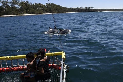 Jervis Bay Boom Netting And Dolphins Tour - Melbourne Tourism 6