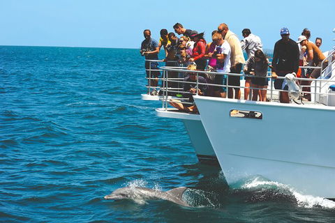 Jervis Bay Boom Netting And Dolphins Tour - Melbourne Tourism 10