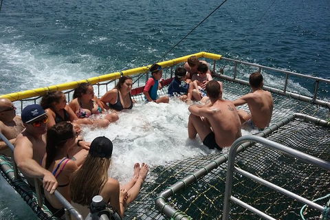 Jervis Bay Boom Netting And Dolphins Tour - Melbourne Tourism 4