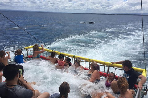 Jervis Bay Boom Netting And Dolphins Tour - Melbourne Tourism 14