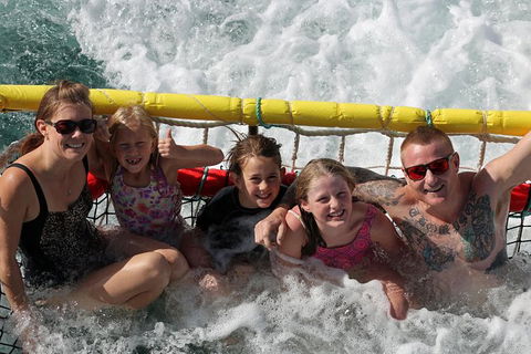 Jervis Bay Boom Netting And Dolphins Tour - Melbourne Tourism 11