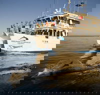 Jervis Bay Dolphin Watch Cruise - Melbourne Tourism