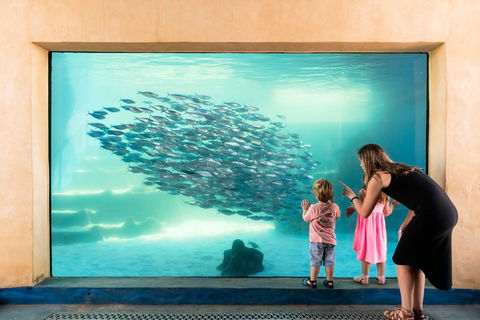 AQWA The Aquarium Of Western Australia - Melbourne Tourism 0