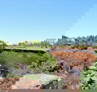 Bladensburg National Park - Melbourne Tourism