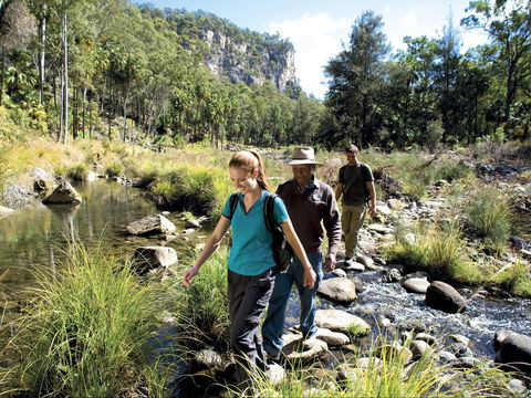 Dig The Tropic - Melbourne Tourism 1