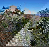 Evans Crown Nature Reserve - Melbourne Tourism