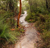 Great North walk - Brisbane Water National Park