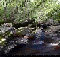 Kangaroo River - Melbourne Tourism