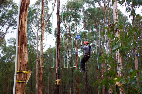 Kinglake Forest Adventures - Melbourne Tourism 0