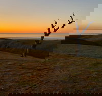 Lessismore Farm Afternoon Farmer - Melbourne Tourism