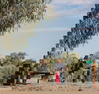 Marrambidya Wetland - Melbourne Tourism