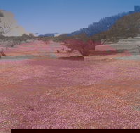 Meekatharra - Melbourne Tourism