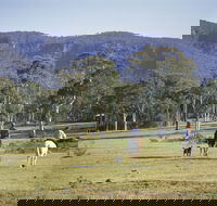 Megalong Valley - Melbourne Tourism