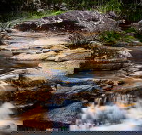 Mothar Mountain Rockpools - Melbourne Tourism