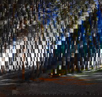 Mountain Bike Trails Tumbarumba - Melbourne Tourism