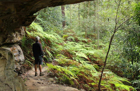 Old Great North Road Bike Ride - Melbourne Tourism 0