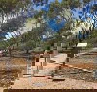Powell Gardens - Melbourne Tourism