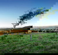 Ravensbourne National Park - Melbourne Tourism