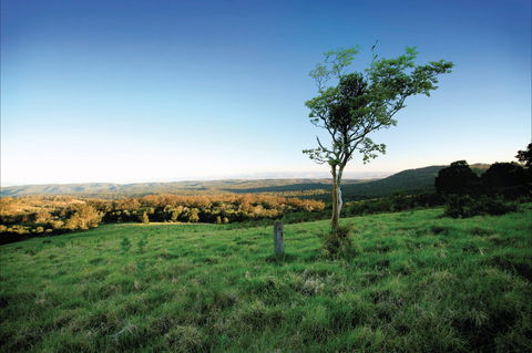 Ravensbourne National Park - Melbourne Tourism 0