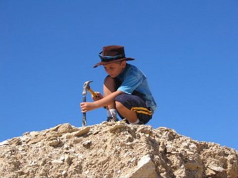 Richmond Fossil Hunting Sites - Melbourne Tourism 0