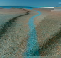 Rowley Shoals - Melbourne Tourism